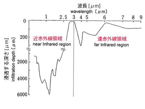 人体に対する赤外線が浸透する深さ