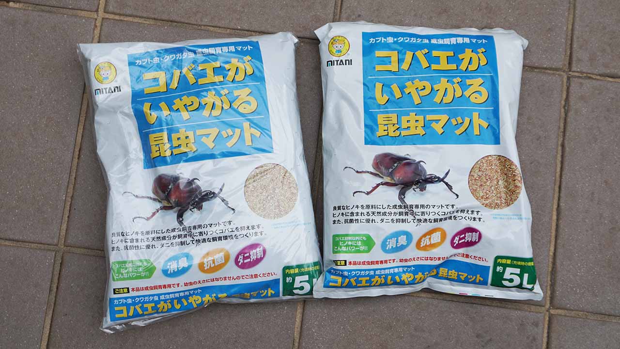 カブトムシ クワガタの飼い方 カニキャンプ